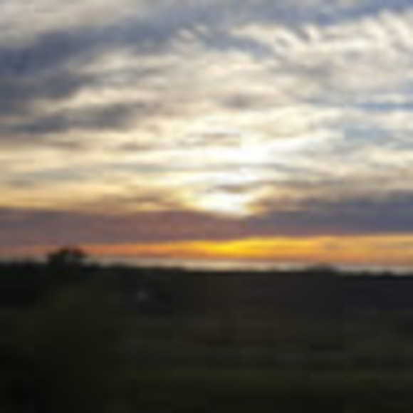 Meet your Posher, Jennifer - Picture 1 of 1